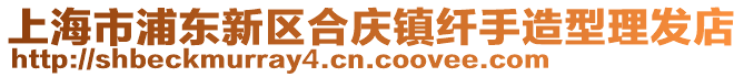 上海市浦東新區(qū)合慶鎮(zhèn)纖手造型理發(fā)店