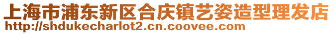上海市浦東新區(qū)合慶鎮(zhèn)藝姿造型理發(fā)店