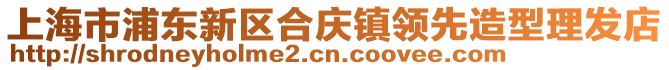 上海市浦東新區合慶鎮領先造型理發店