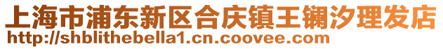 上海市浦東新區(qū)合慶鎮(zhèn)王鑭汐理發(fā)店