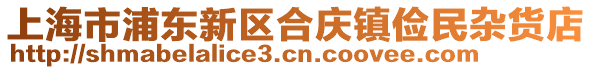 上海市浦東新區(qū)合慶鎮(zhèn)儉民雜貨店