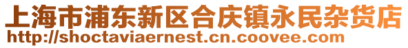 上海市浦東新區合慶鎮永民雜貨店