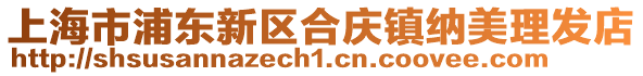 上海市浦東新區(qū)合慶鎮(zhèn)納美理發(fā)店