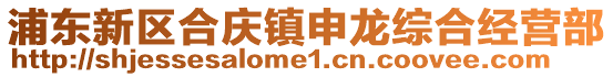 浦東新區合慶鎮申龍綜合經營部