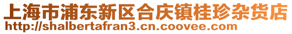 上海市浦東新區(qū)合慶鎮(zhèn)桂珍雜貨店