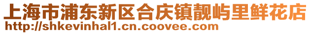 上海市浦東新區(qū)合慶鎮(zhèn)靚嶼里鮮花店