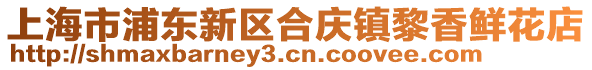 上海市浦東新區(qū)合慶鎮(zhèn)黎香鮮花店