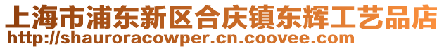 上海市浦東新區合慶鎮東輝工藝品店