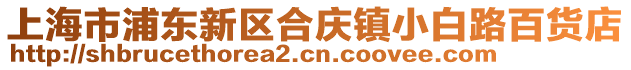 上海市浦東新區(qū)合慶鎮(zhèn)小白路百貨店