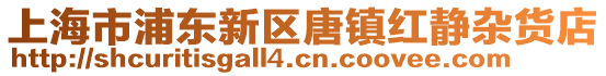 上海市浦東新區(qū)唐鎮(zhèn)紅靜雜貨店