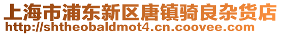 上海市浦東新區唐鎮騎良雜貨店
