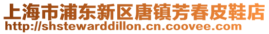 上海市浦東新區唐鎮芳春皮鞋店