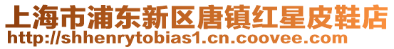 上海市浦東新區唐鎮紅星皮鞋店