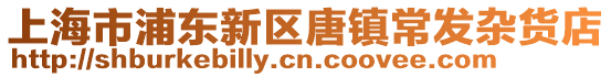 上海市浦東新區(qū)唐鎮(zhèn)常發(fā)雜貨店