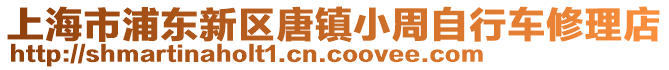 上海市浦東新區(qū)唐鎮(zhèn)小周自行車修理店