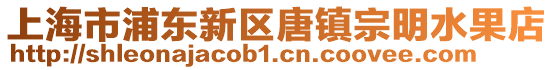 上海市浦東新區唐鎮宗明水果店