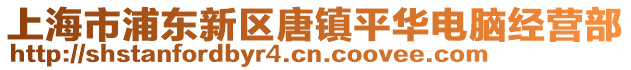 上海市浦東新區(qū)唐鎮(zhèn)平華電腦經營部