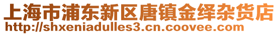 上海市浦東新區(qū)唐鎮(zhèn)金繹雜貨店