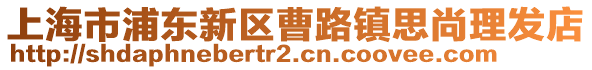 上海市浦東新區(qū)曹路鎮(zhèn)思尚理發(fā)店