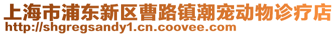 上海市浦東新區(qū)曹路鎮(zhèn)潮寵動物診療店