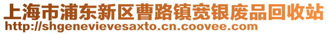 上海市浦東新區(qū)曹路鎮(zhèn)寬銀廢品回收站