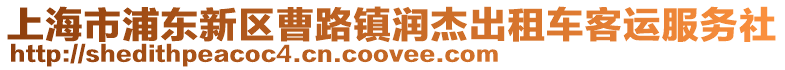 上海市浦東新區曹路鎮潤杰出租車客運服務社