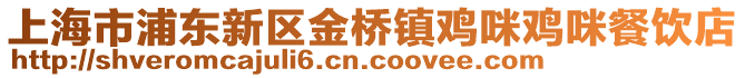 上海市浦東新區(qū)金橋鎮(zhèn)雞咪雞咪餐飲店