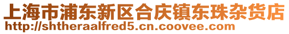 上海市浦東新區(qū)合慶鎮(zhèn)東珠雜貨店