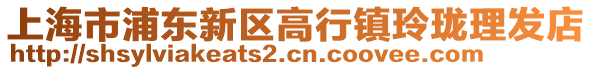 上海市浦東新區(qū)高行鎮(zhèn)玲瓏?yán)戆l(fā)店