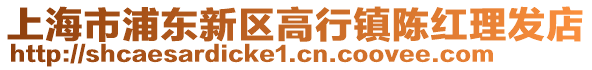 上海市浦東新區(qū)高行鎮(zhèn)陳紅理發(fā)店