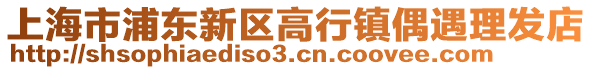 上海市浦東新區高行鎮偶遇理發店