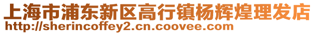 上海市浦東新區(qū)高行鎮(zhèn)楊輝煌理發(fā)店