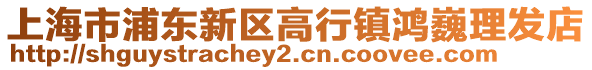 上海市浦東新區高行鎮鴻巍理發店