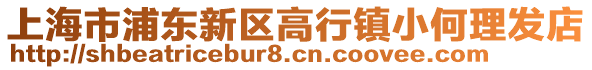 上海市浦東新區高行鎮小何理發店