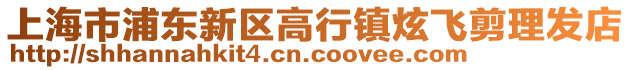 上海市浦東新區高行鎮炫飛剪理發店
