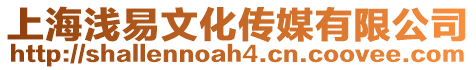 上海淺易文化傳媒有限公司