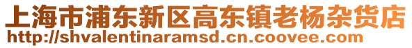 上海市浦東新區(qū)高東鎮(zhèn)老楊雜貨店