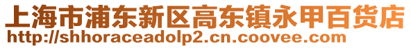 上海市浦東新區高東鎮永甲百貨店