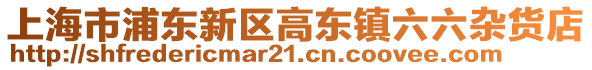 上海市浦東新區(qū)高東鎮(zhèn)六六雜貨店