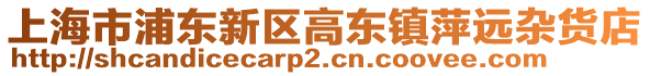 上海市浦東新區(qū)高東鎮(zhèn)萍遠雜貨店