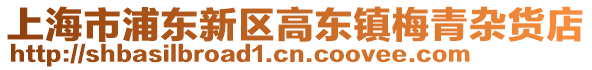 上海市浦東新區(qū)高東鎮(zhèn)梅青雜貨店