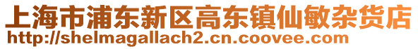 上海市浦東新區(qū)高東鎮(zhèn)仙敏雜貨店
