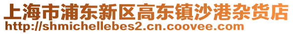 上海市浦東新區高東鎮沙港雜貨店
