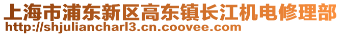 上海市浦東新區(qū)高東鎮(zhèn)長江機(jī)電修理部