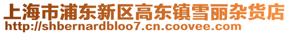 上海市浦東新區(qū)高東鎮(zhèn)雪麗雜貨店