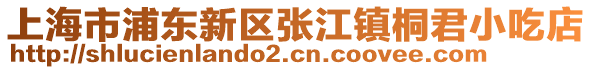 上海市浦東新區(qū)張江鎮(zhèn)桐君小吃店