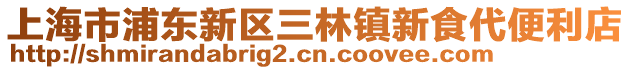 上海市浦東新區三林鎮新食代便利店