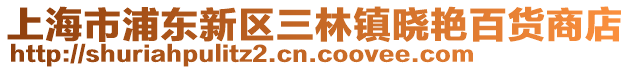 上海市浦東新區三林鎮曉艷百貨商店