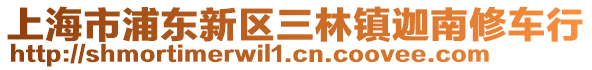 上海市浦東新區(qū)三林鎮(zhèn)迦南修車行