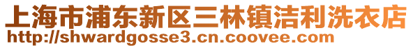 上海市浦東新區(qū)三林鎮(zhèn)潔利洗衣店